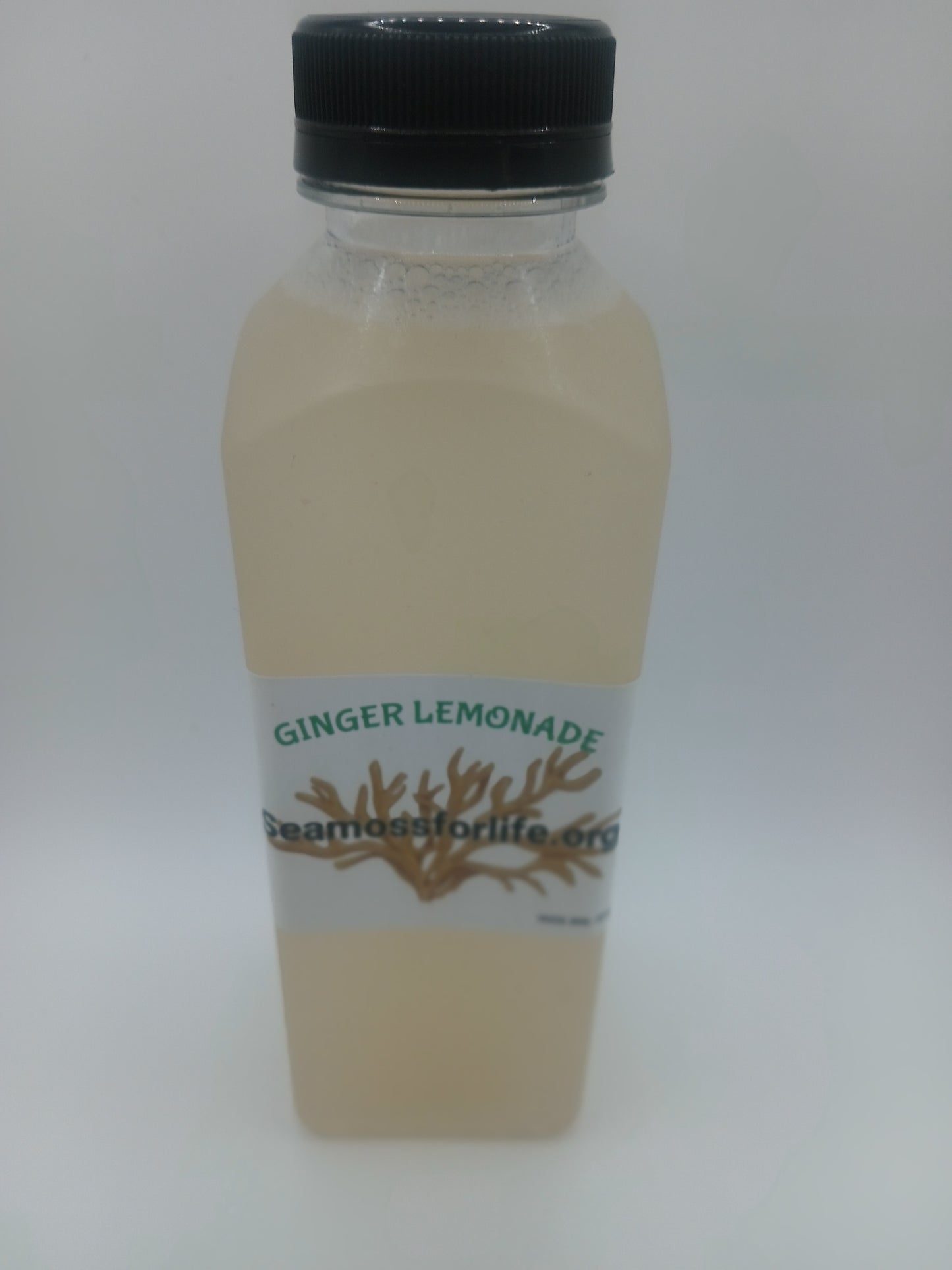 Ginger lemonade seamoss juice