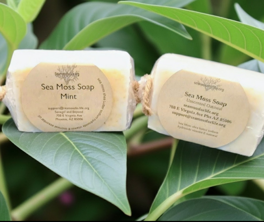 Peppermint sea moss soap