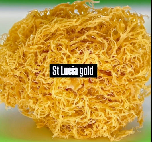St Lucia Gold